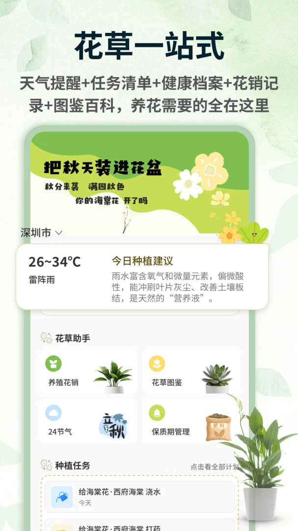 青青草棠图1