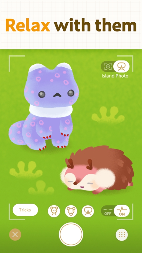 Livly Island安装器图3