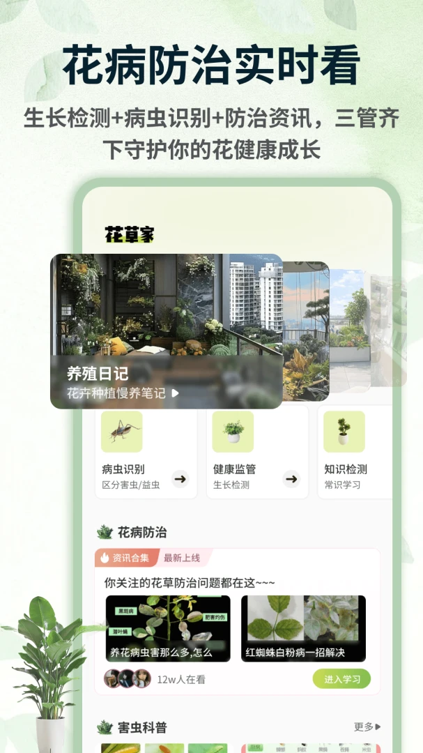 青青草棠图3