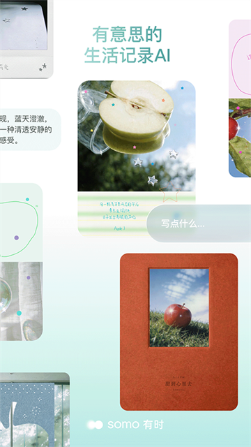 somo 有时图5