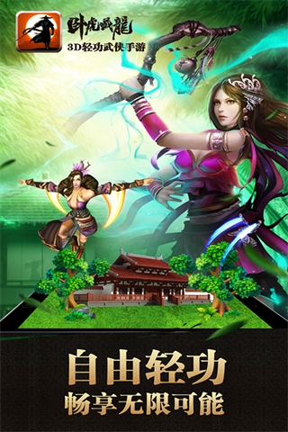 卧虎藏龙图4