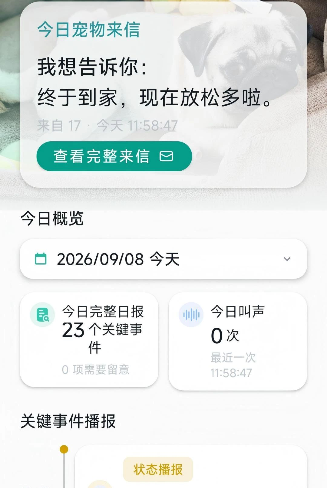 毛宝宝图3