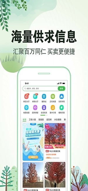 苗木人