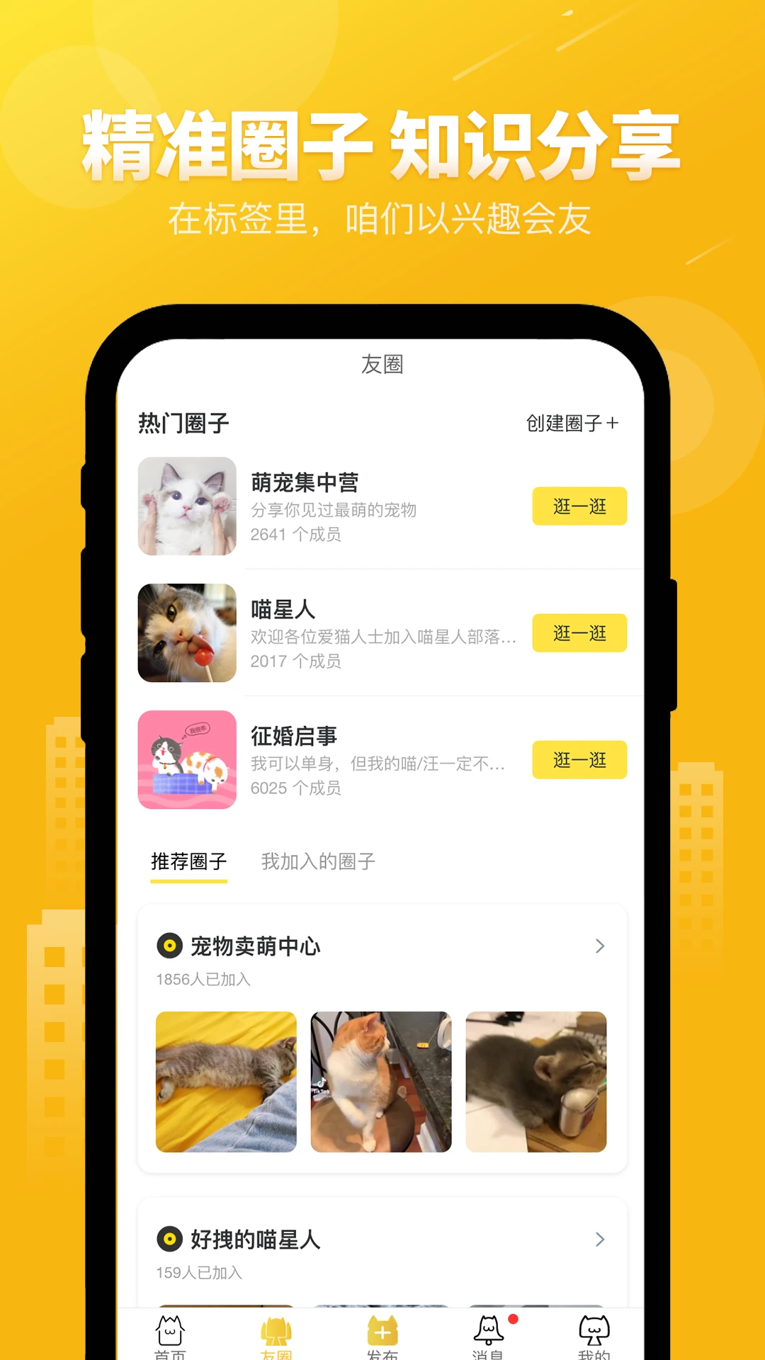 友猫图4