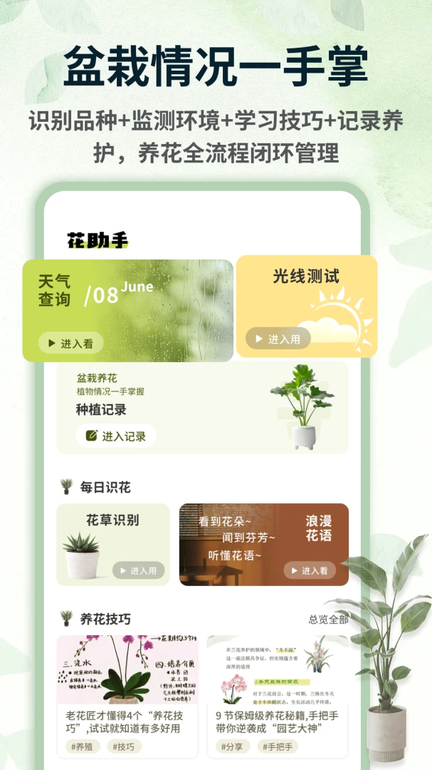 青青草棠图2
