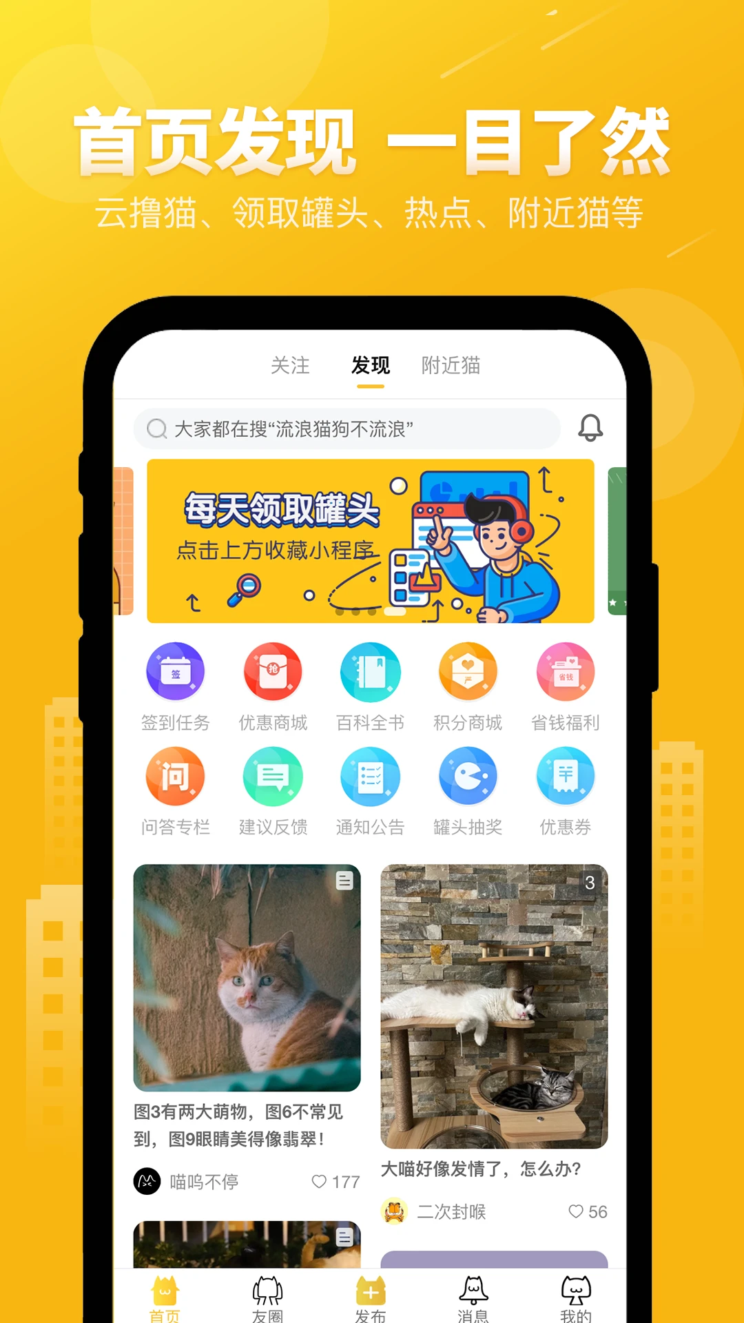 友猫图3