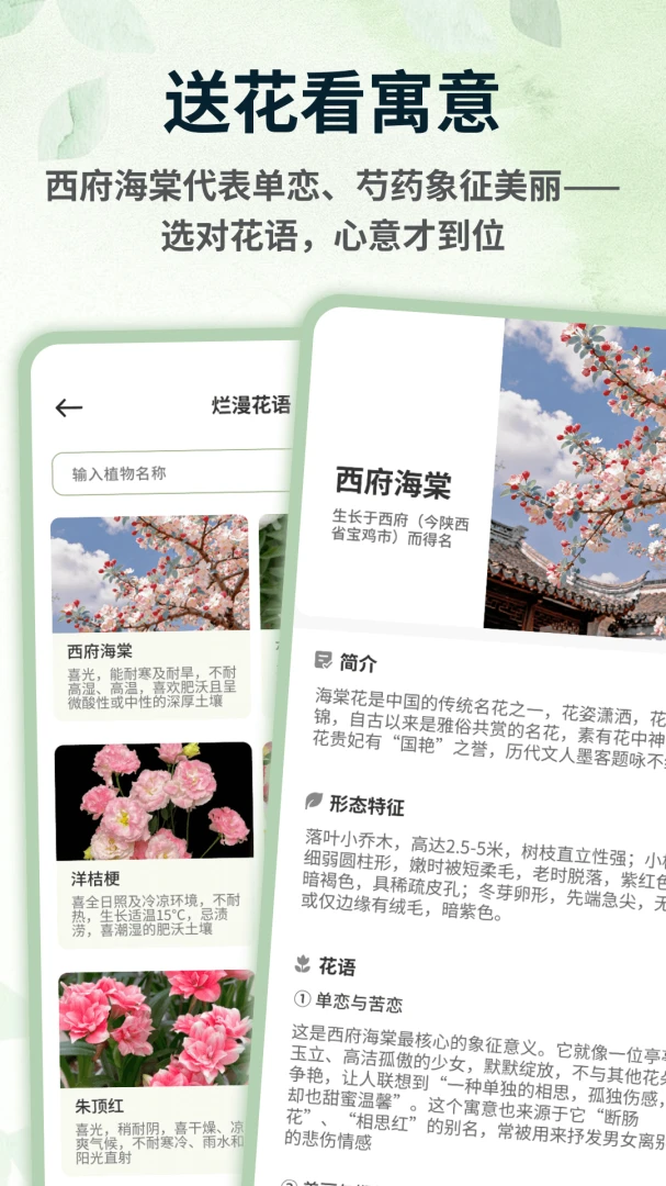 青青草棠图4