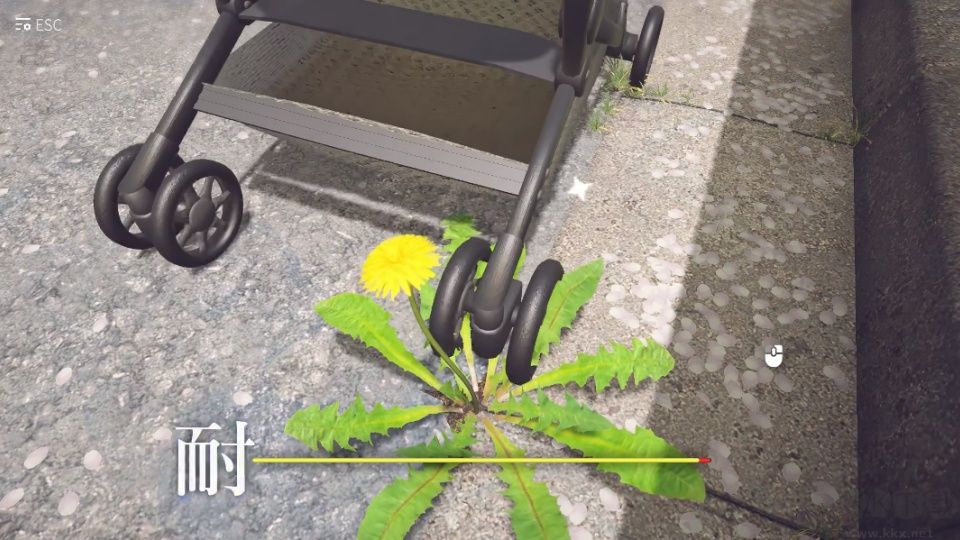 蒲公英不屈图3