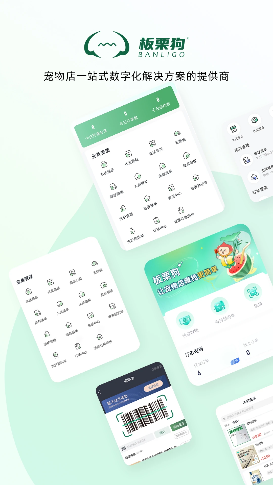 板栗狗图2
