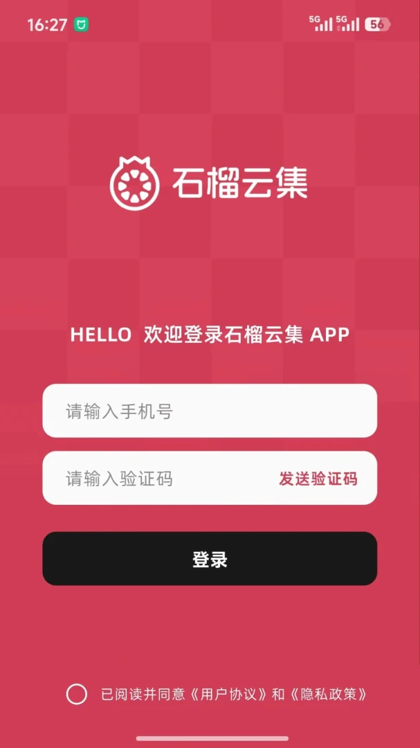 石榴云集图1