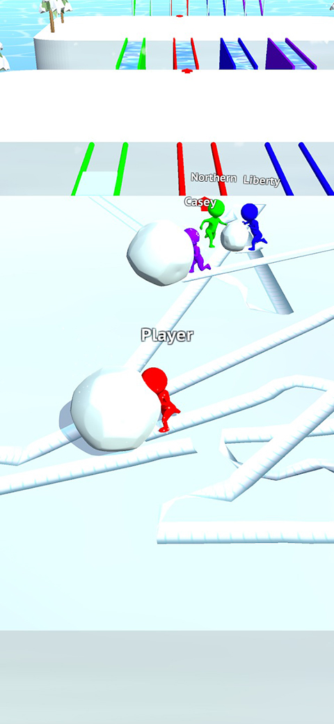 Snow Race!!图1